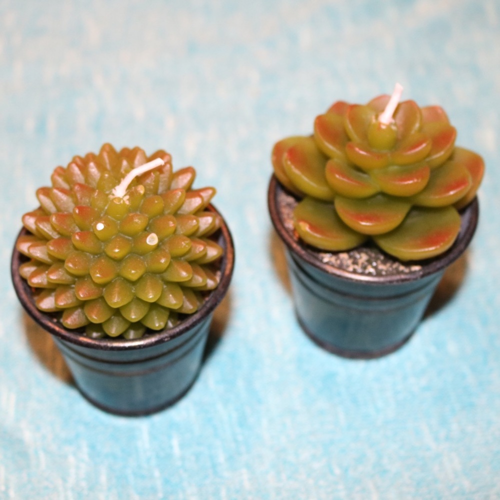 Three fake succulent candles!